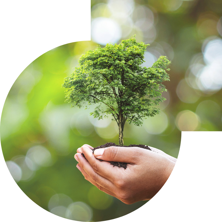 关怀人类、文化、环境与社会